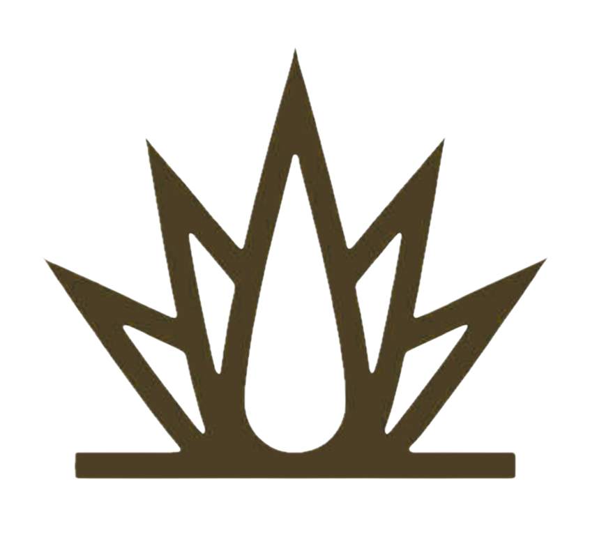 Agave — LEAMPION